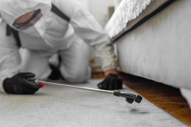 Professional Bed Bug Control technician working in Elizabeth, CO