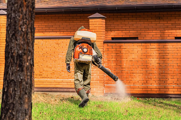 Trusted Cockroach Control service in Elizabeth, CO - Nex Pest Control